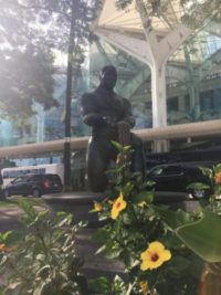 Statue ARVO 2018 - Hawaii convention center