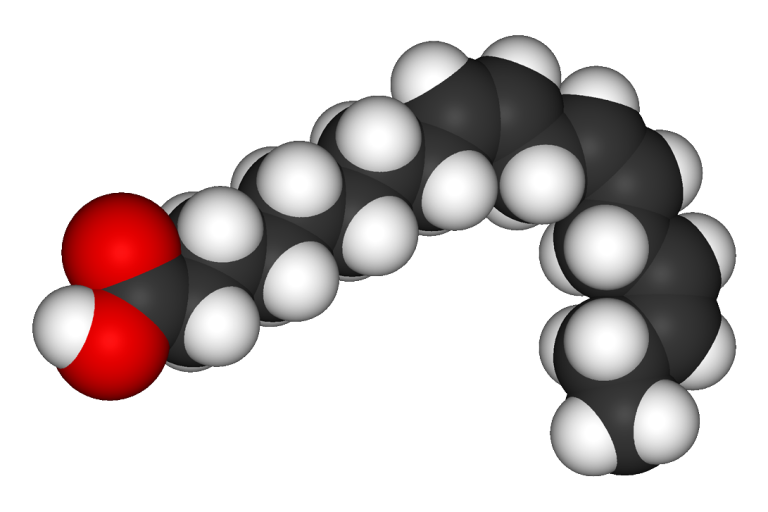 Acides gras