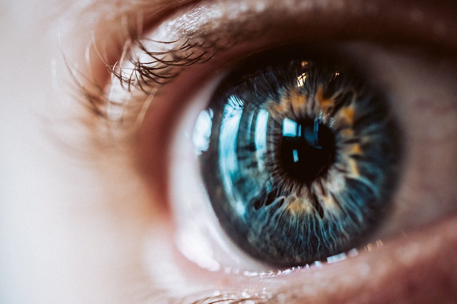 Oeil bleu vu de près