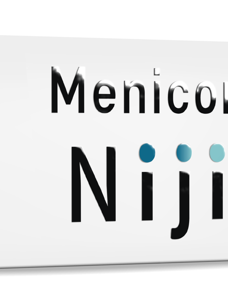 Menicon lentille Niji