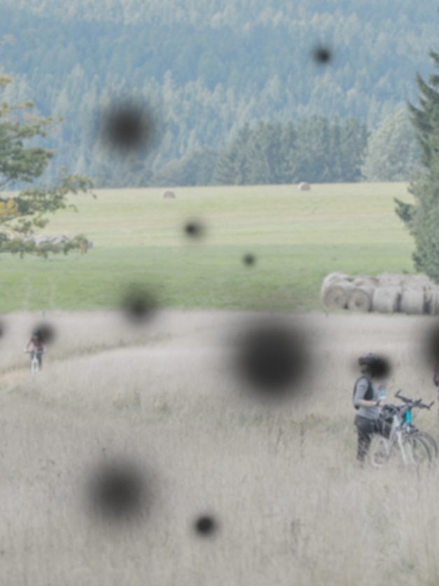 Rétinopathie diabétique