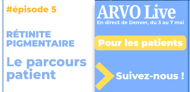 ARVO26_E5_patients_RP_parcours